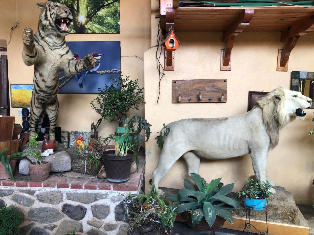 Hotel Quinta Angelica Mazamitla Εξωτερικό φωτογραφία